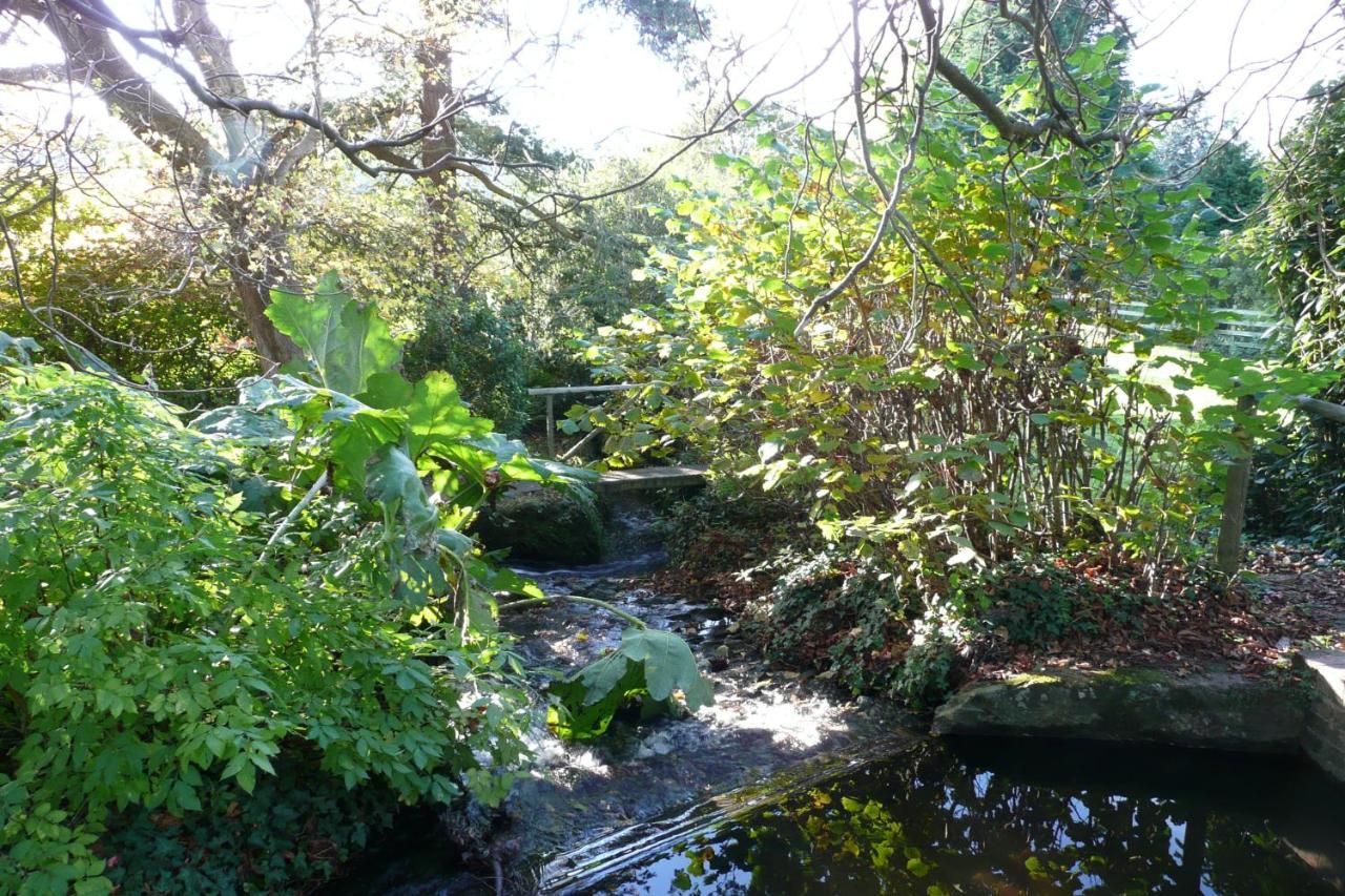 Luxury Bed And Breakfast At Bossington Hall In Exmoor, Somerset Porlock Esterno foto