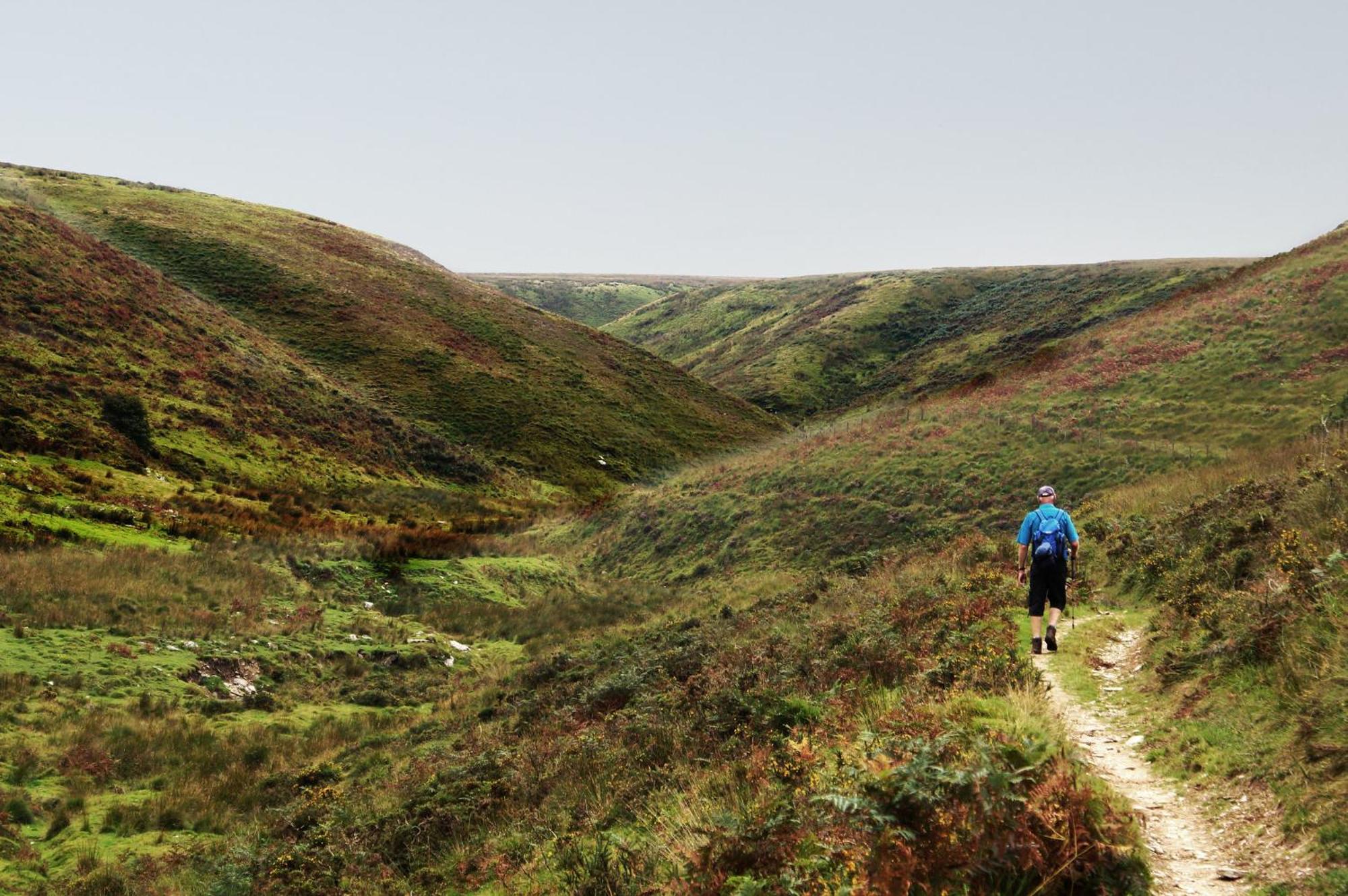 Luxury Bed And Breakfast At Bossington Hall In Exmoor, Somerset Porlock Esterno foto